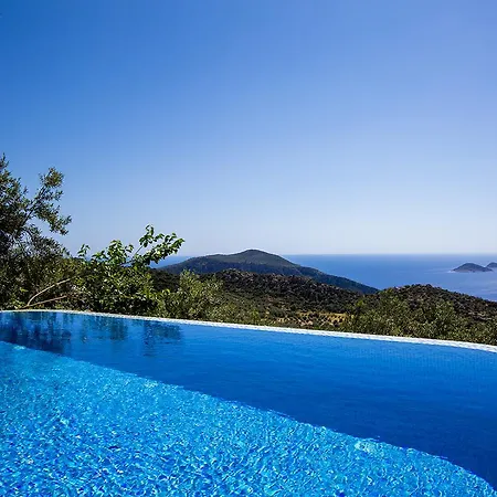 Polo *