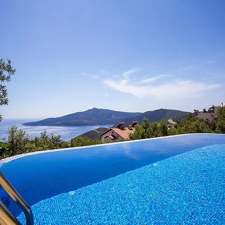 Polo Kalkan